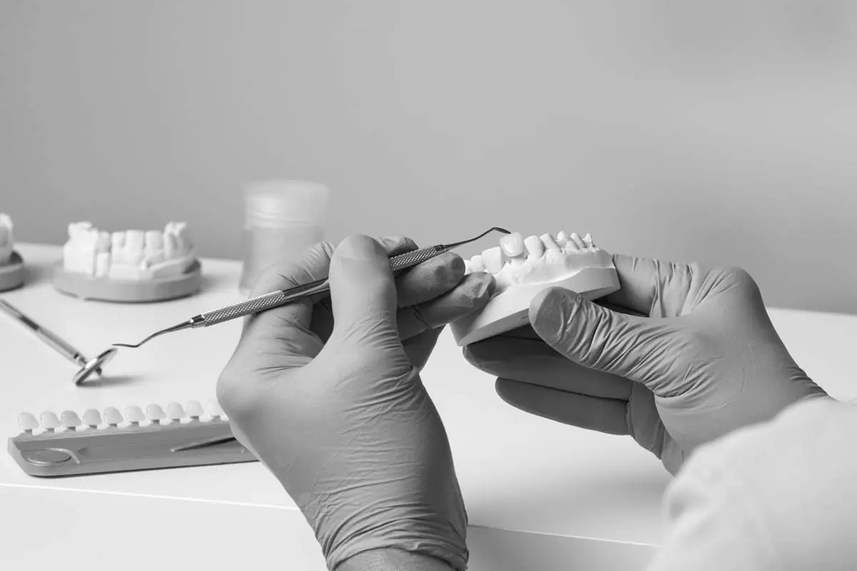 teeth model showing how dentists can restore smiles